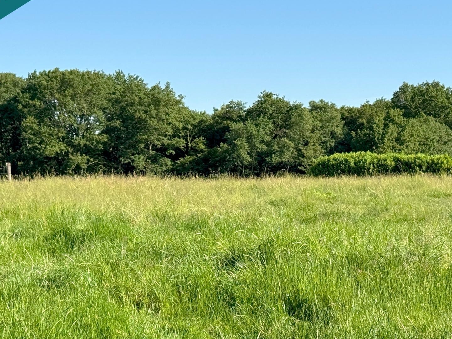 Terrain à vendre - 1354m2 - Cuiseaux (71480)