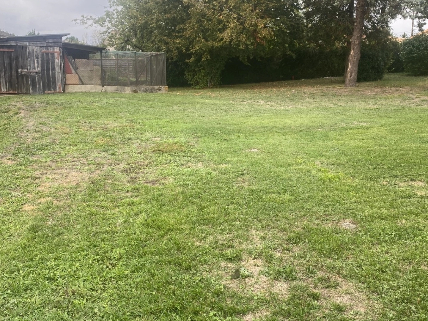 Terrain 542 m²