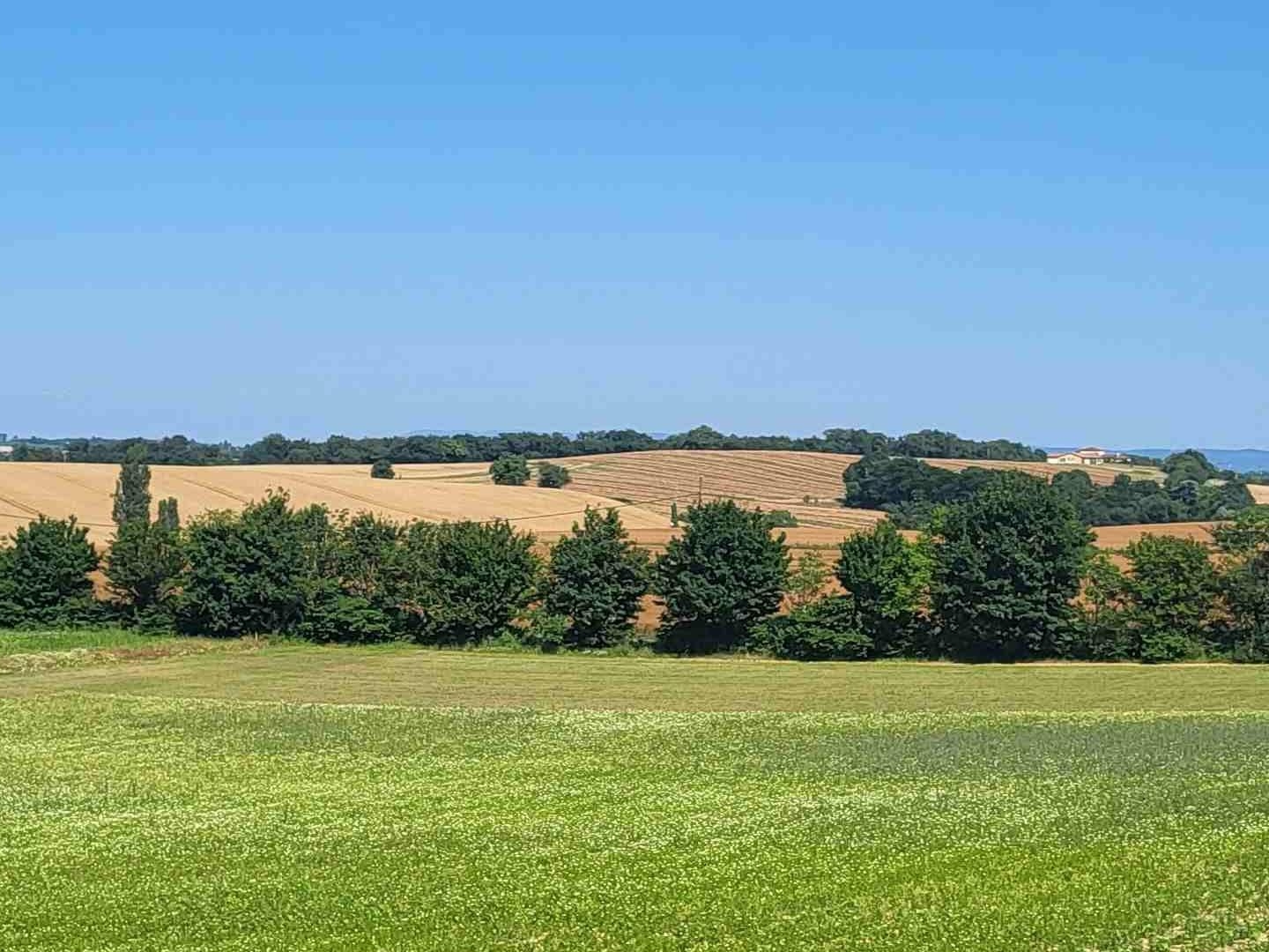 Terrain constructible 608 m²