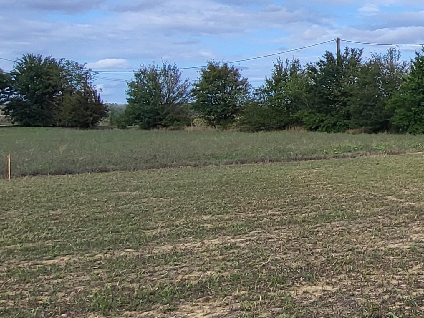 Terrain à vendre - 608m2 - Villefranche-De-L... (31290)