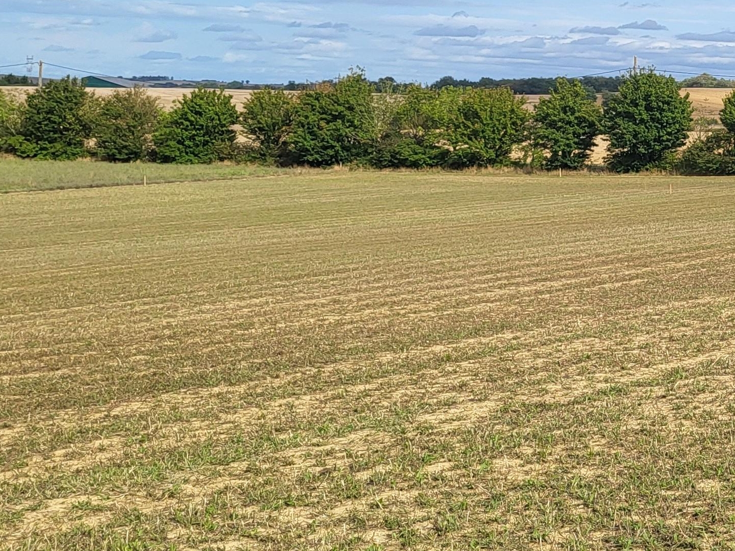Terrain à vendre - 608m2 - Villefranche-De-L... (31290)