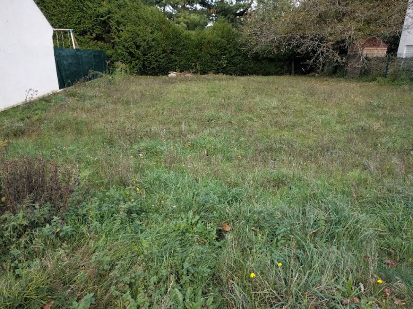 Terrain 242 m²