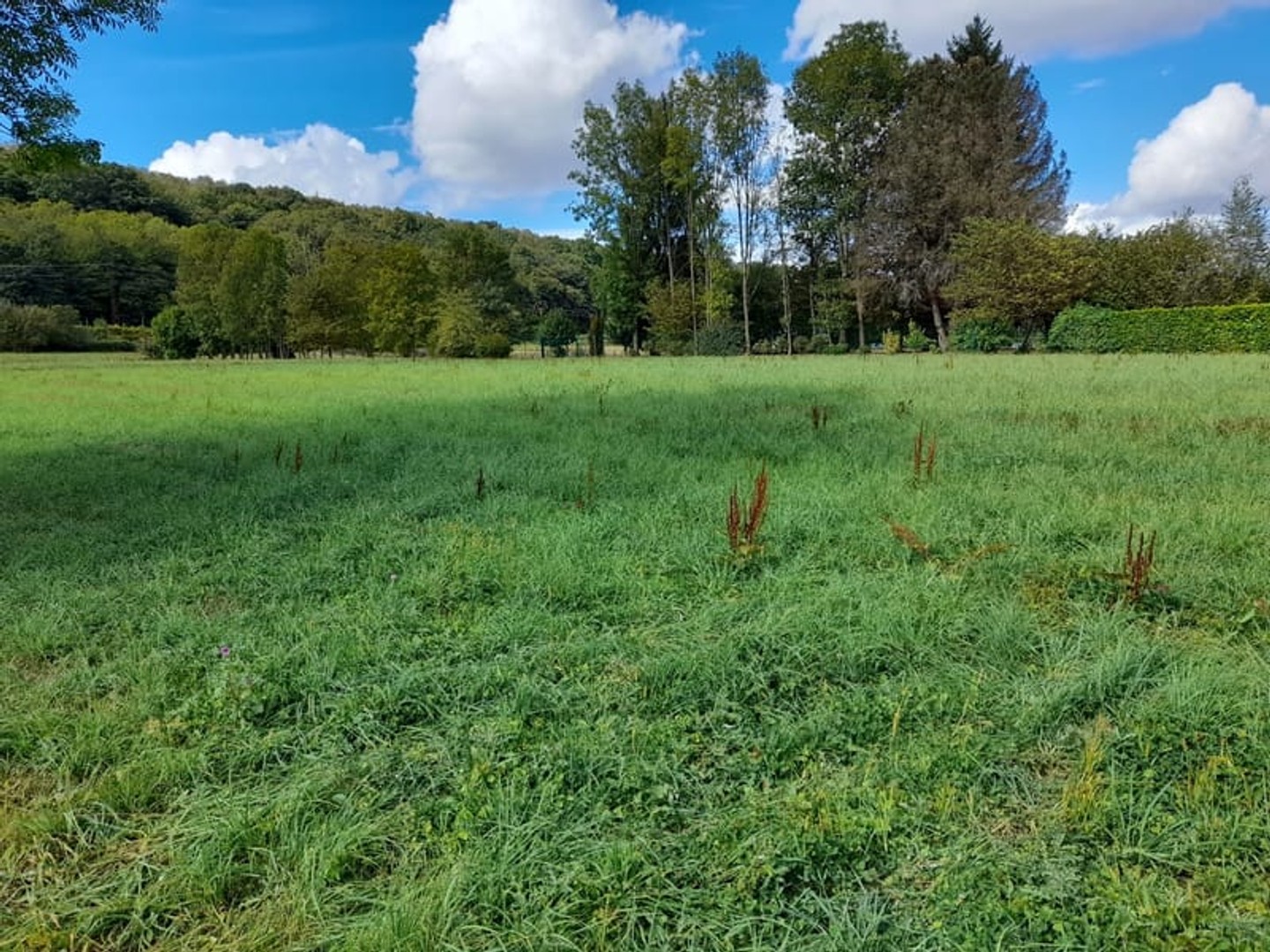 Terrain constructible de 1100 m2, viabilisé et évolutif.