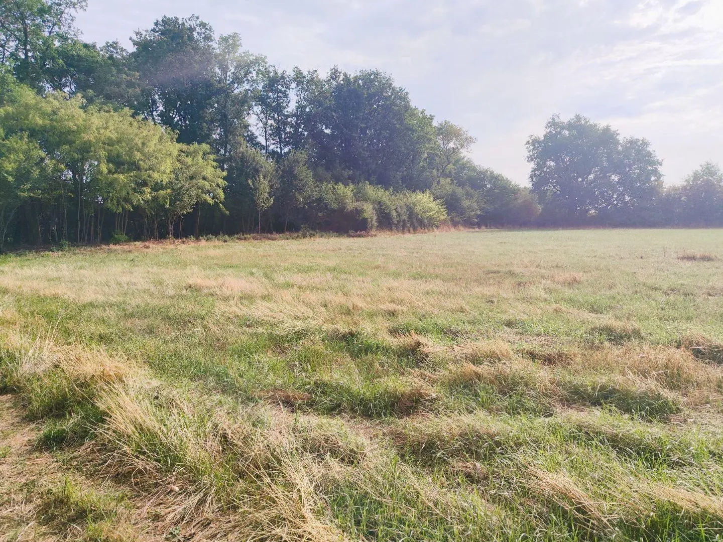 Terrain à bâtir 1361 m²