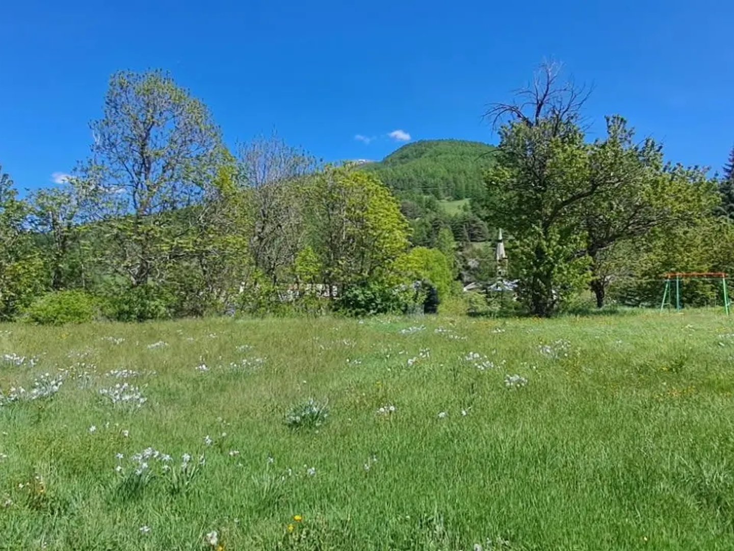 Terrain à vendre - 526m2 - Château-Ville-Vie... (05350)