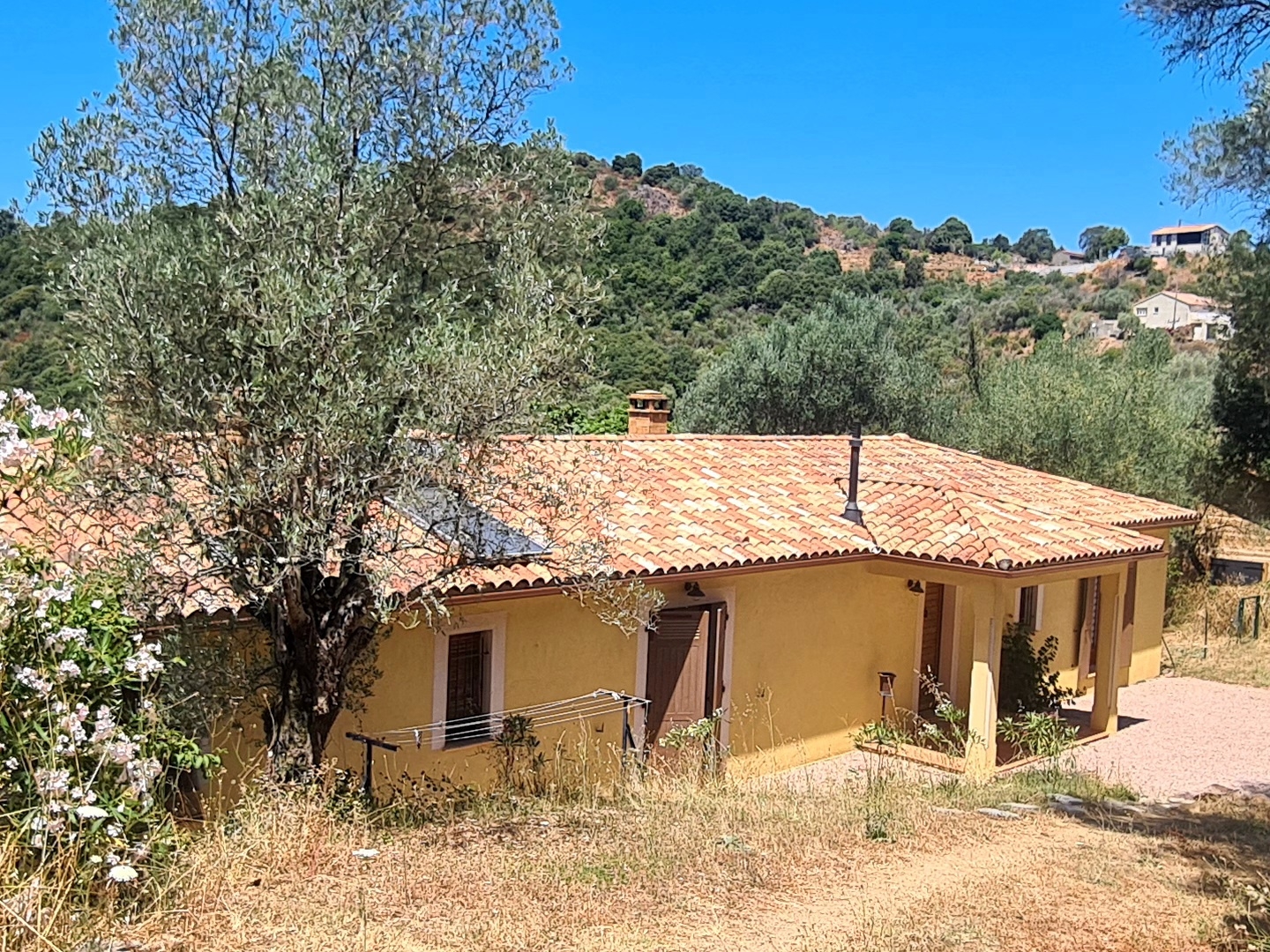 Maison à vendre - 5 pièces - 144m2 - Cauro (20117)