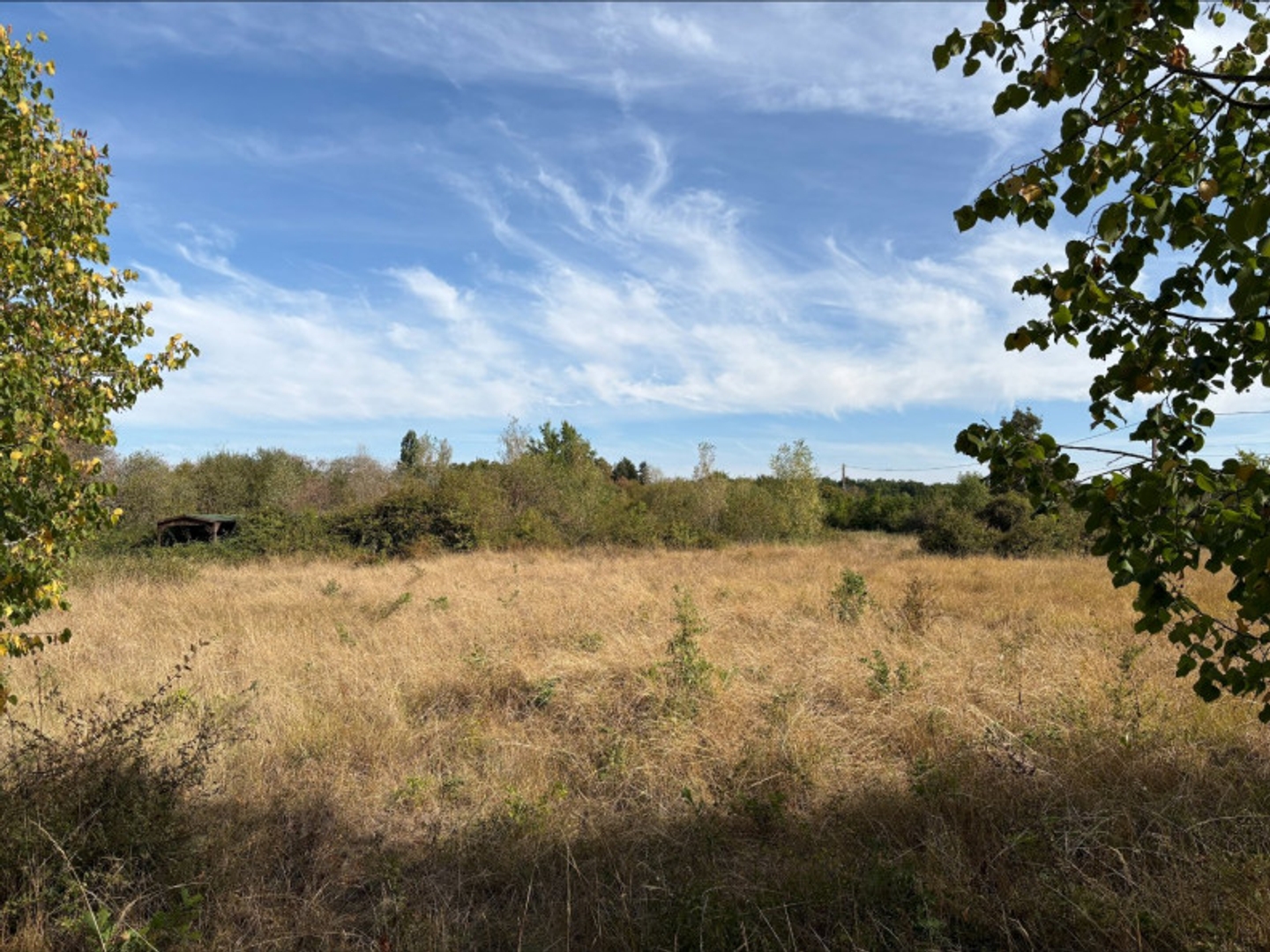 Terrain à vendre - 47000m2 - Neuillay-Les-Bois (36500)