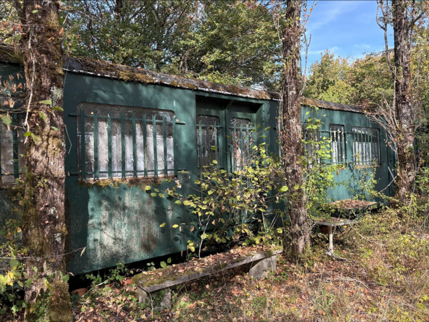 Terrain à vendre - 47000m2 - Neuillay-Les-Bois (36500)