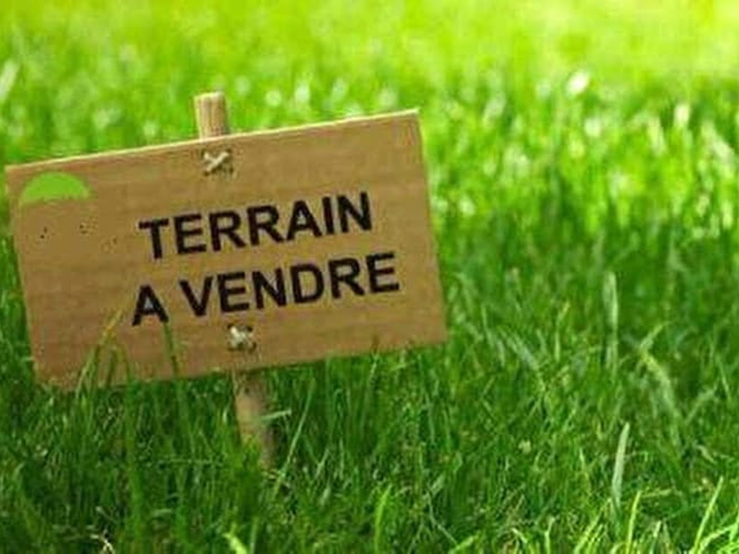 Terrain 330 m²