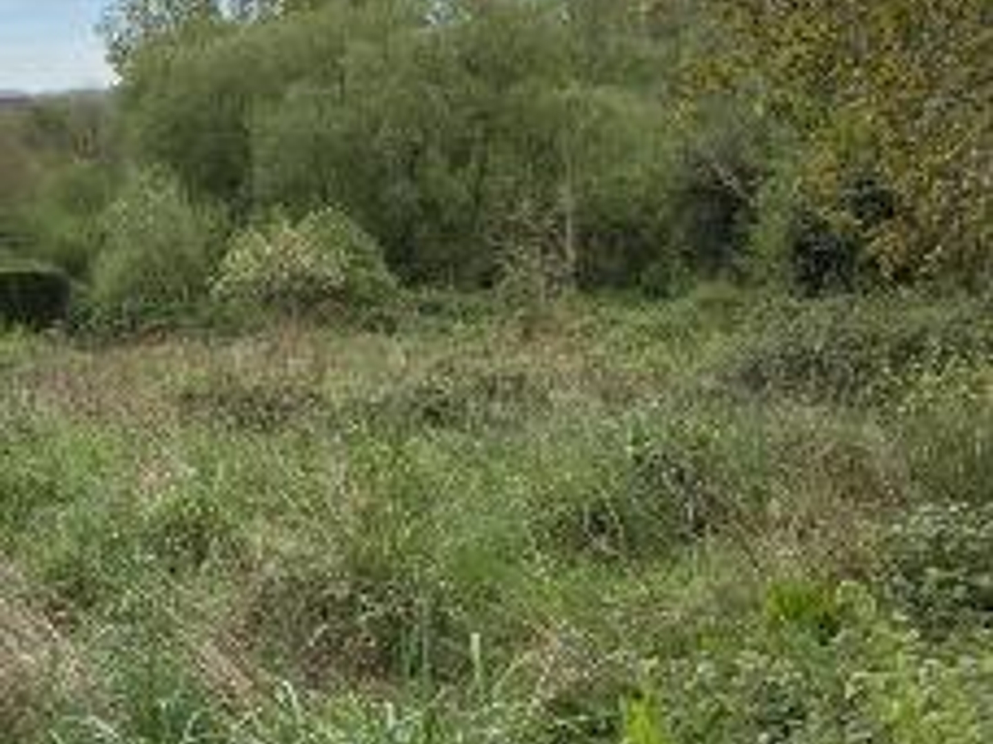 Terrain 13255 m²