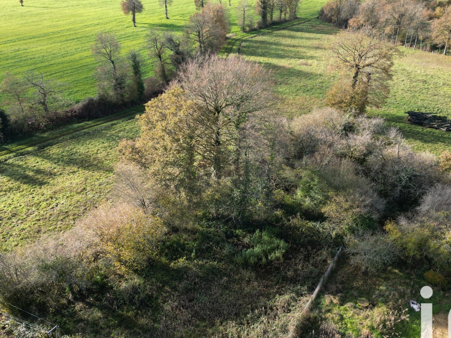 Terrain 712 m²