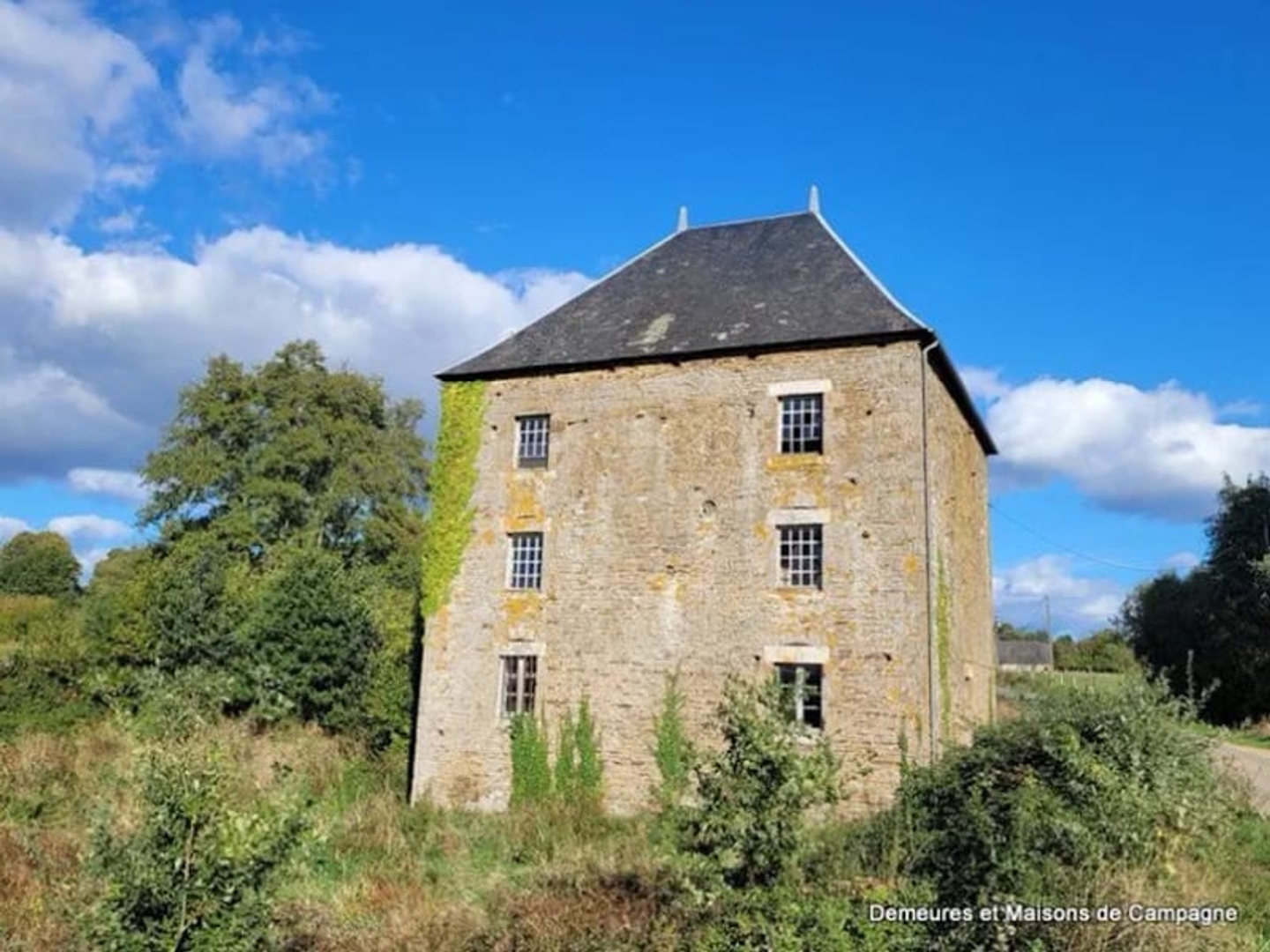 Maison à vendre - 10 pièces - 600m2 - Mantilly (61350)