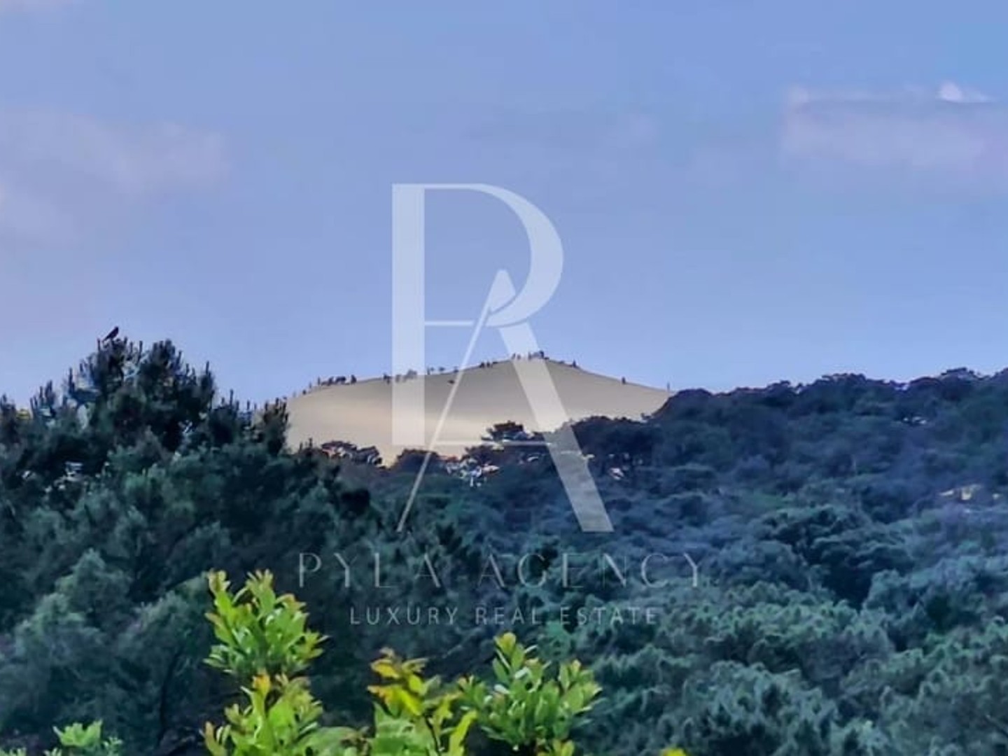 Pyla-sur-Mer — Lisière de forêt, vue dune imprenable