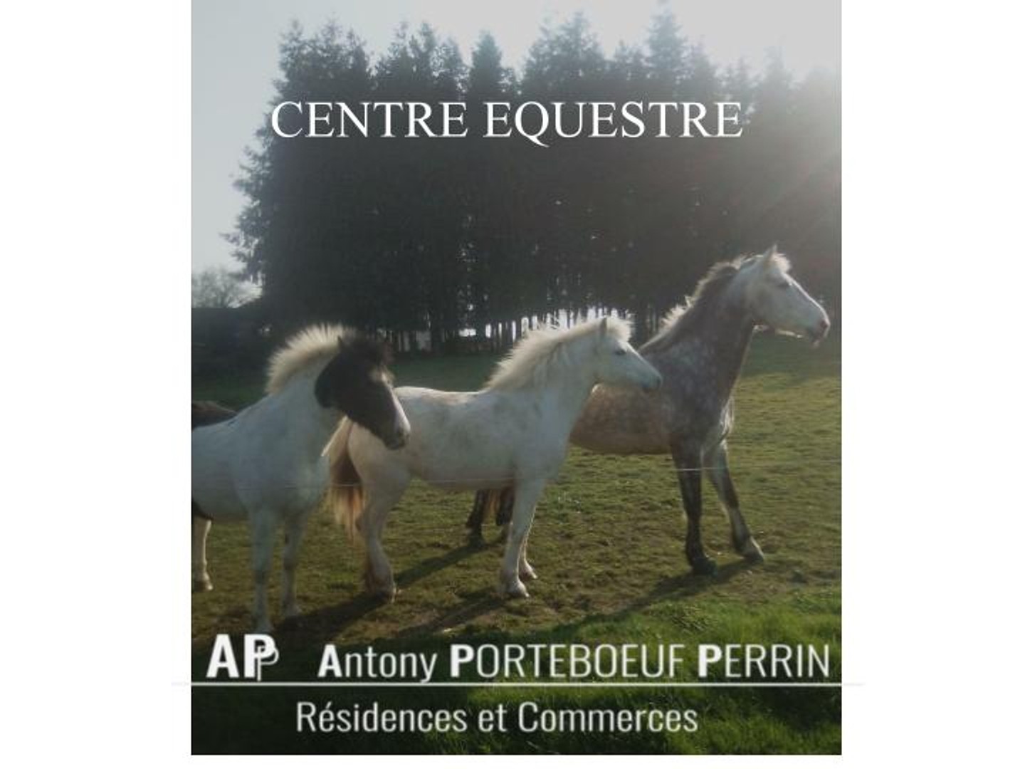 Centre Equestre en Centre Bretagne, Murs commerciaux