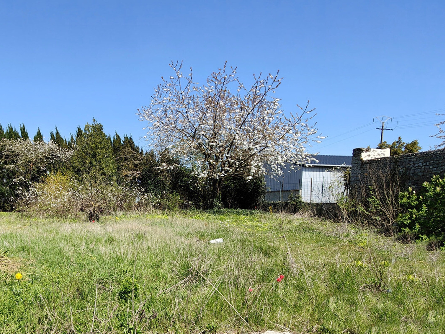 Terrain à vendre - 745m2 - Janville-En-Beauce (28310)