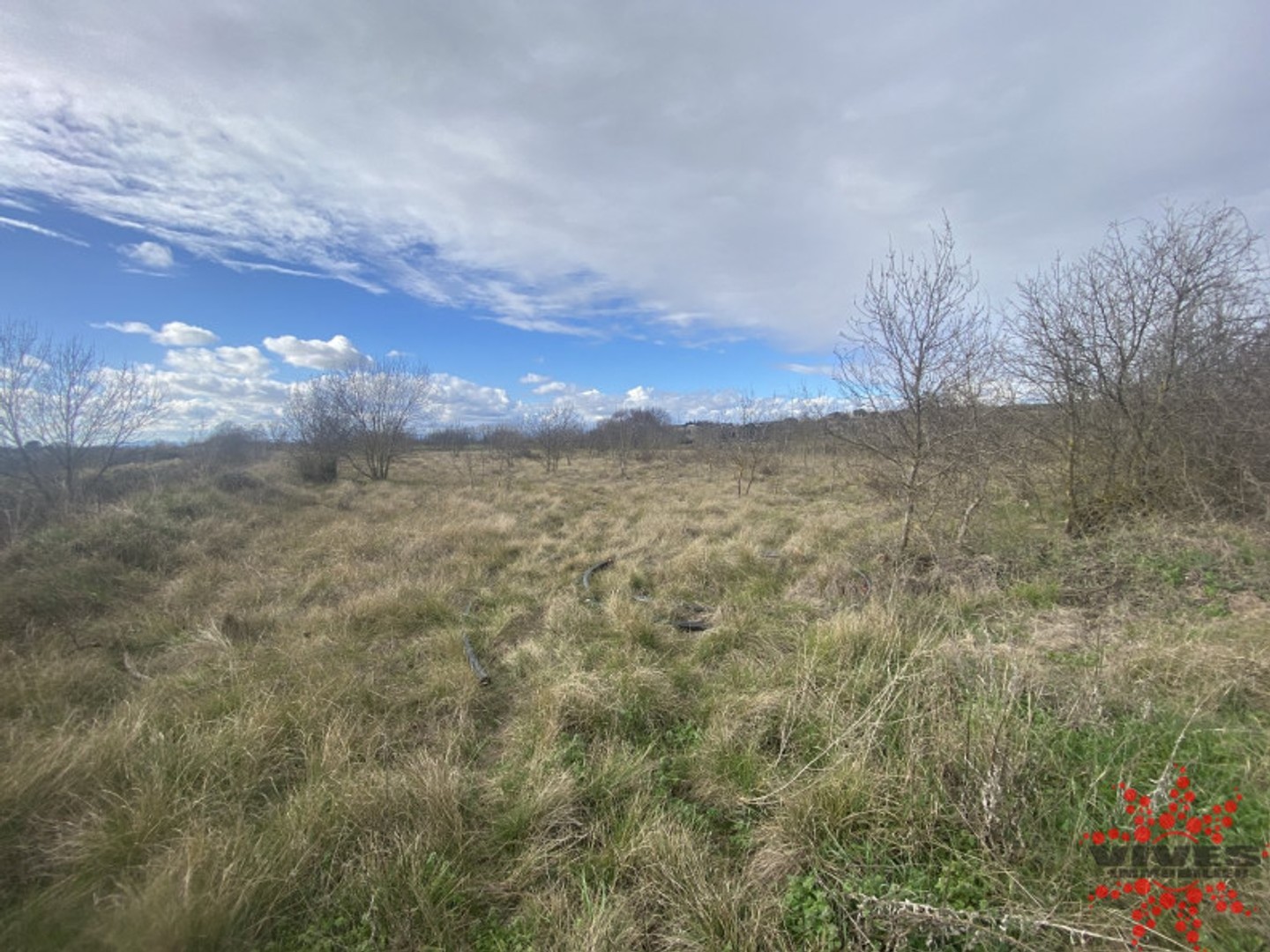 Terrain agricole 3200 m²