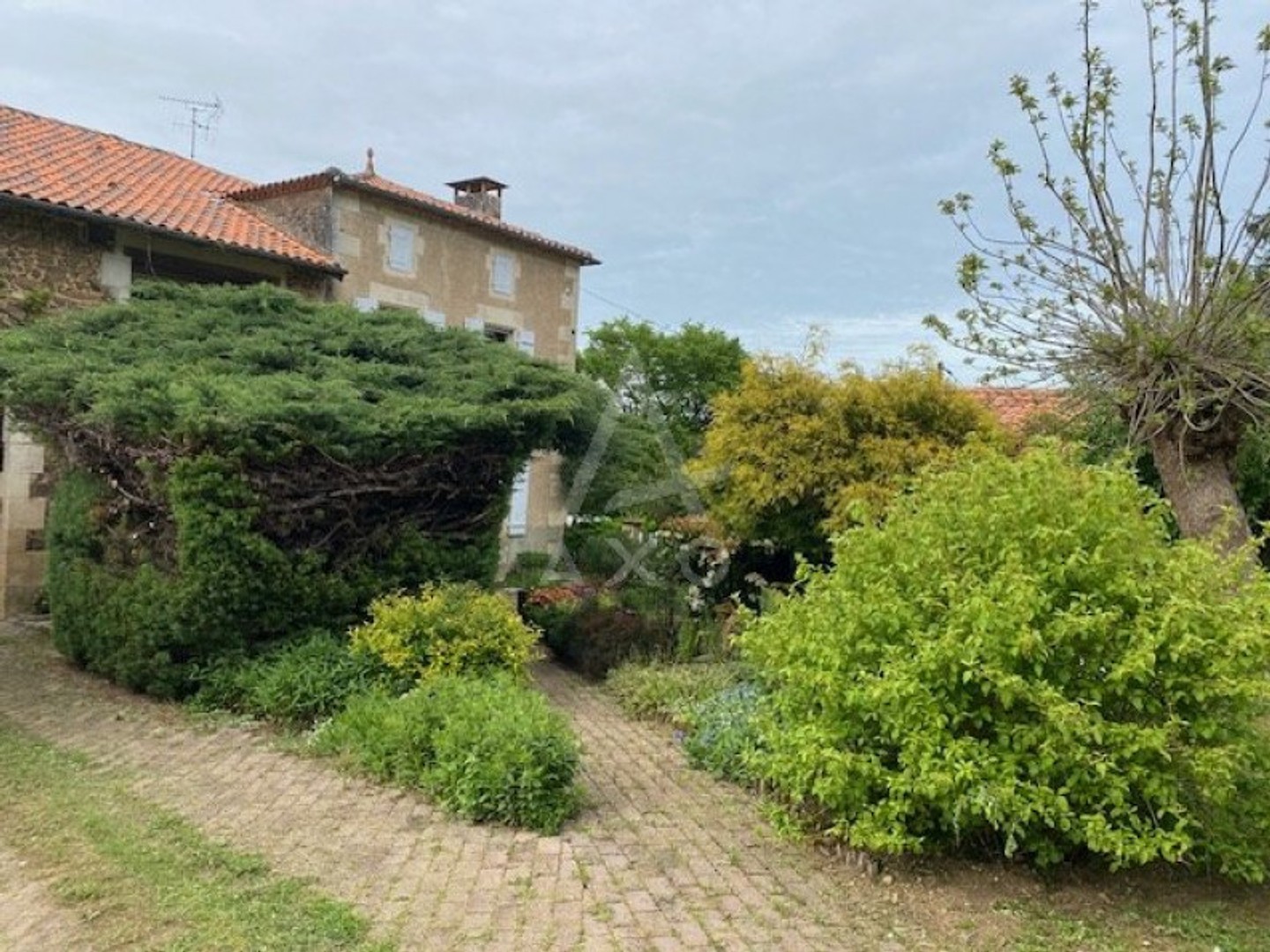 Maison à vendre - 6 pièces - 275m2 - Terres-De-Haute-C... (16270)