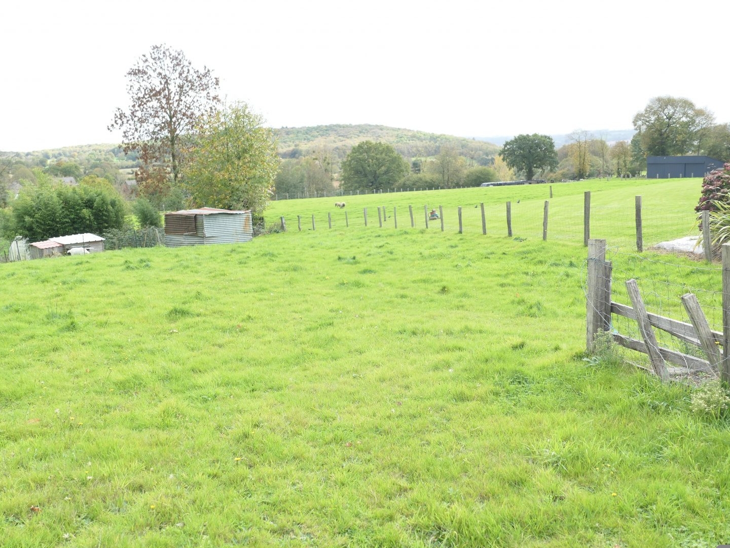 Terrain à vendre - 1018m2 - Saint-Pois (50670)