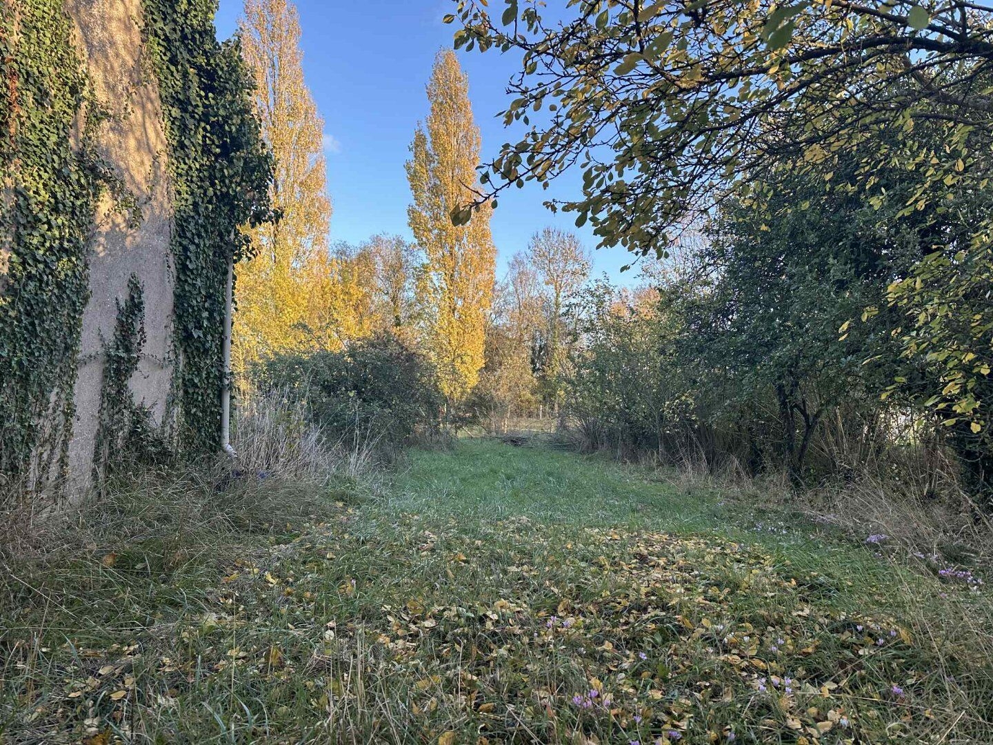 Maison à vendre - 5 pièces - 97m2 - Bellevigne-En-Layon (49750)