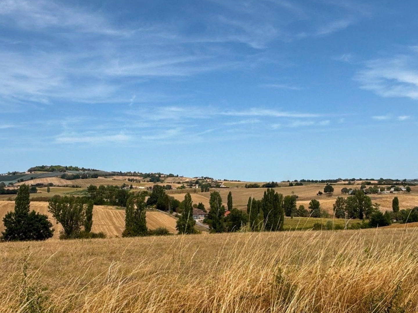 Terrain au calme, vue sur la campagne