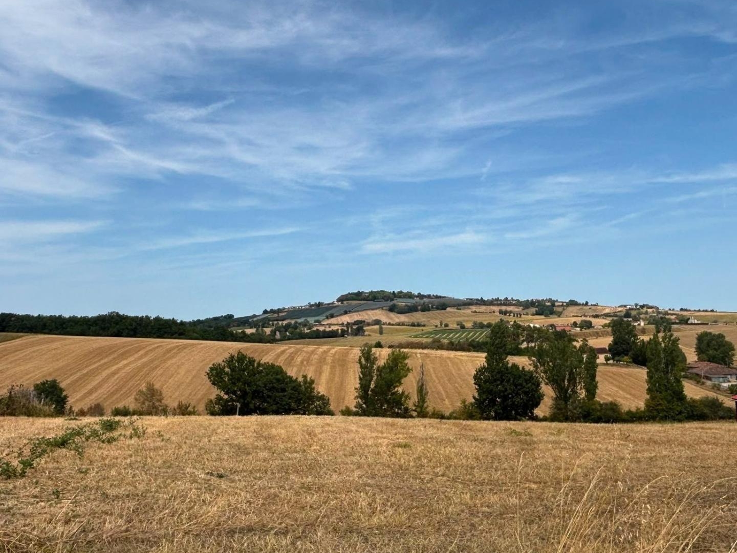 Terrain à vendre - 1403m2 - Auty (82220)