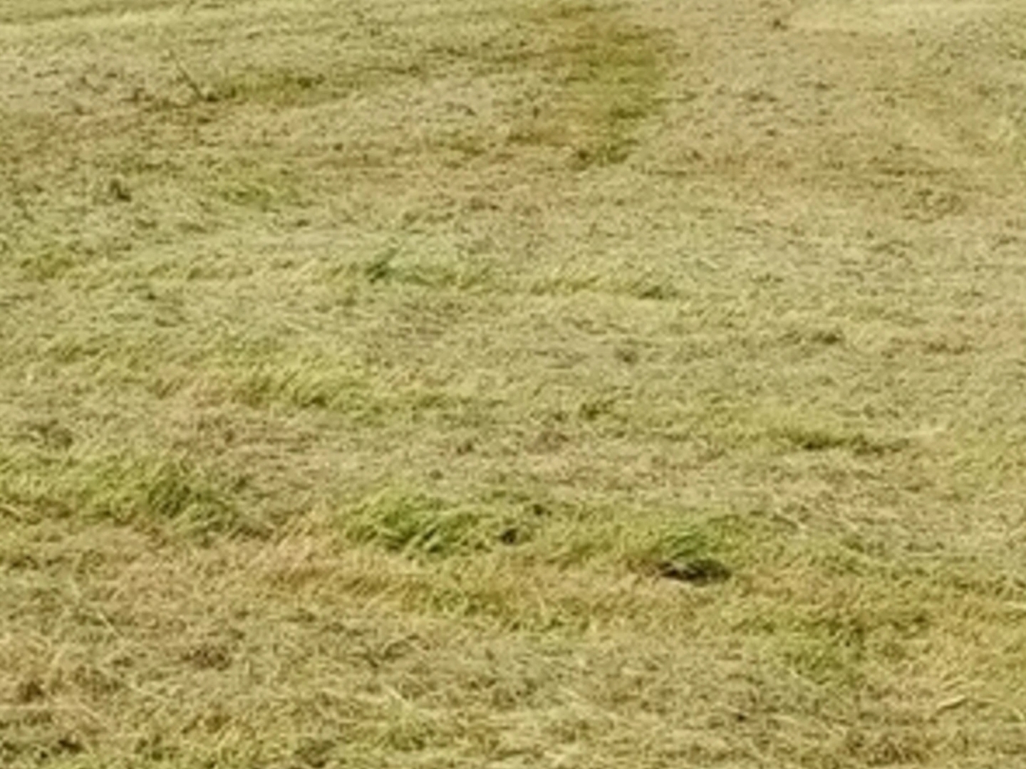 Terrain 18400 m²