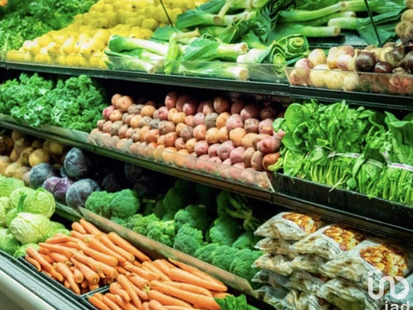 Immeuble commercial 3 pièces 100 m²