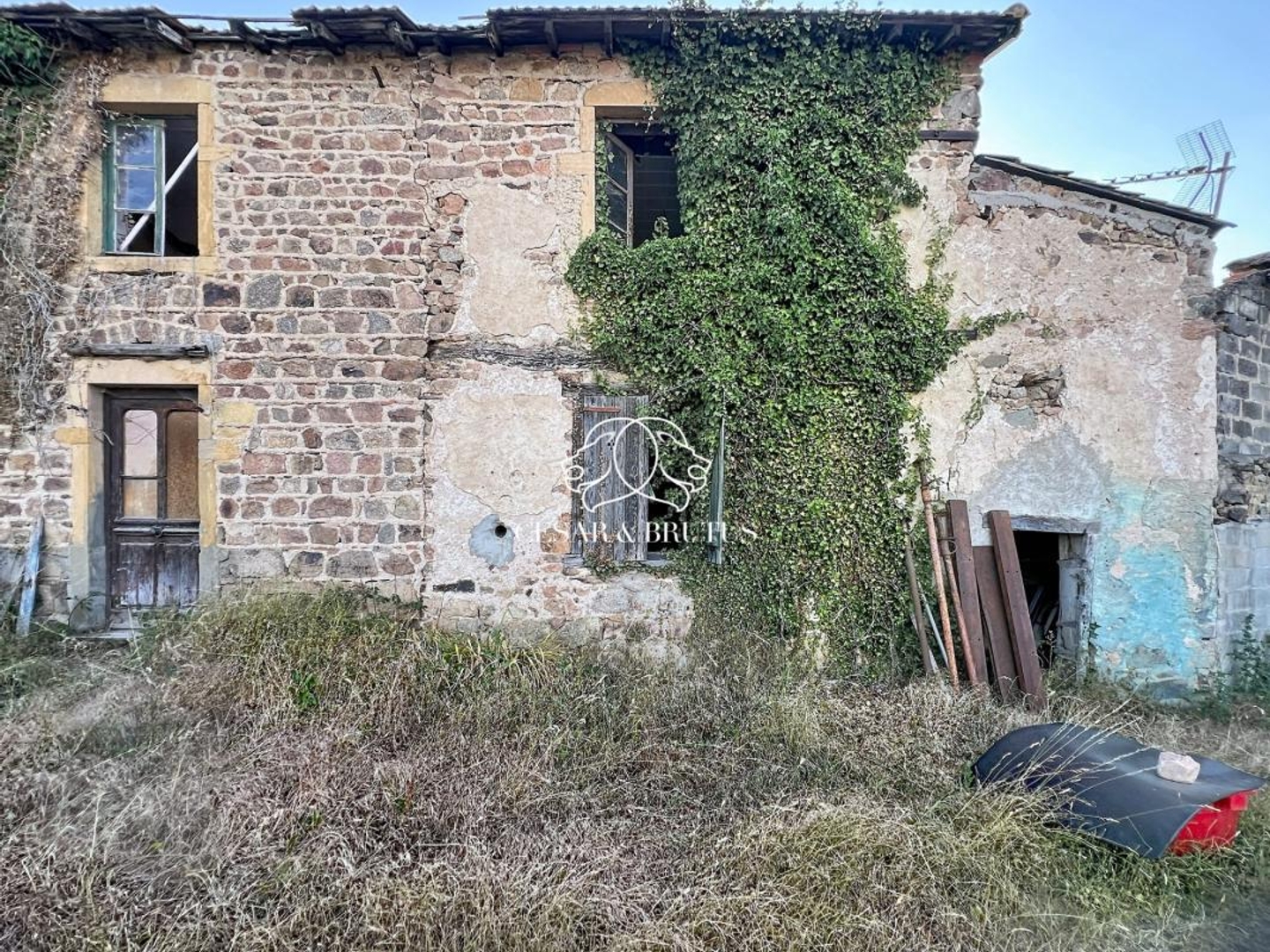 Terrain à vendre - 14430m2 - Saint-Jean-Saint-... (42155)