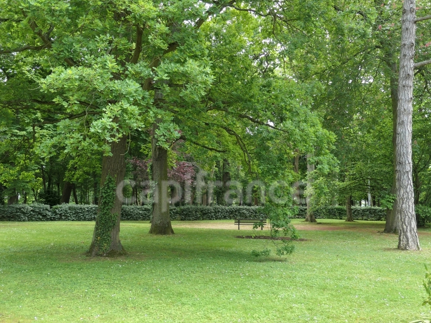 Appartement à vendre - 4 pièces - 100m2 - Maisons-Laffitte (78600)