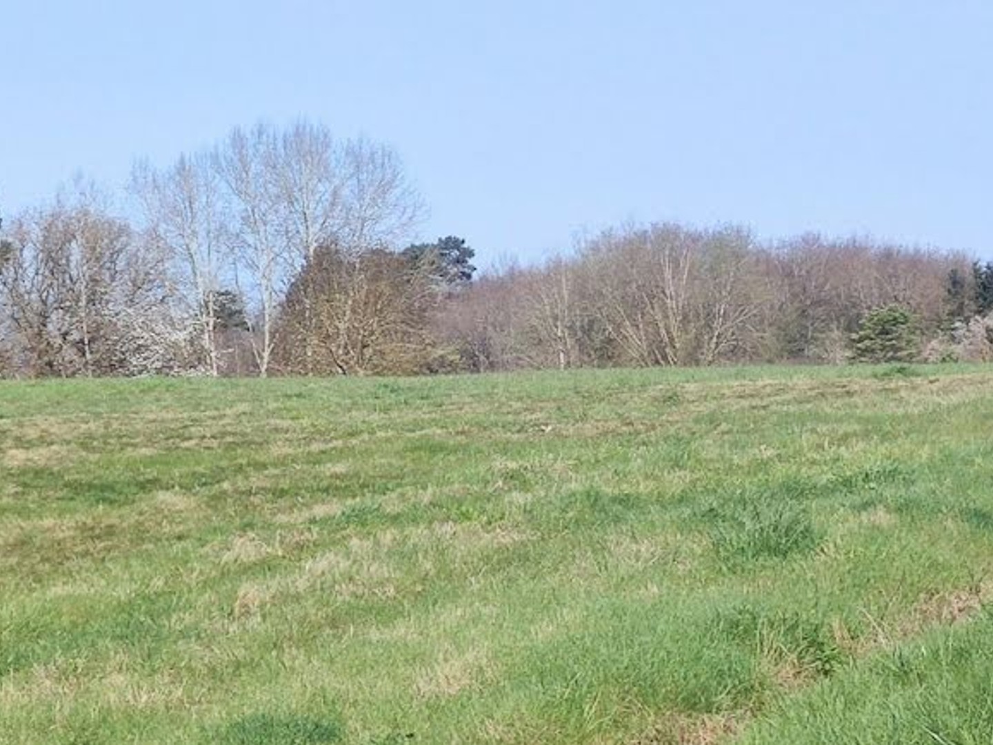 Terrain 386 m²