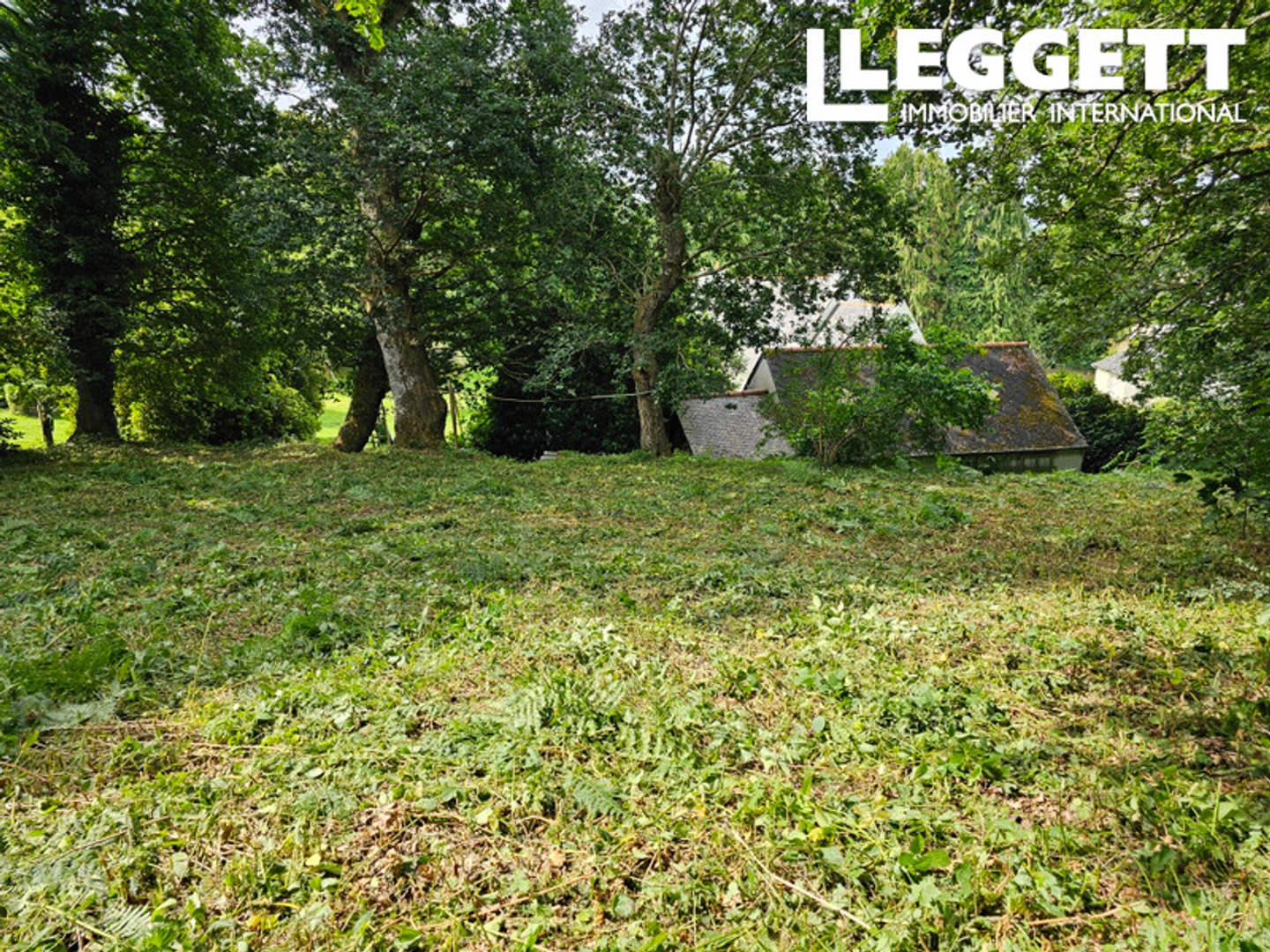 Plus d?un hectare de terrain au coeur de Belle-Isle-en-Terre ? 11 185 m² de nature, non constructible.
