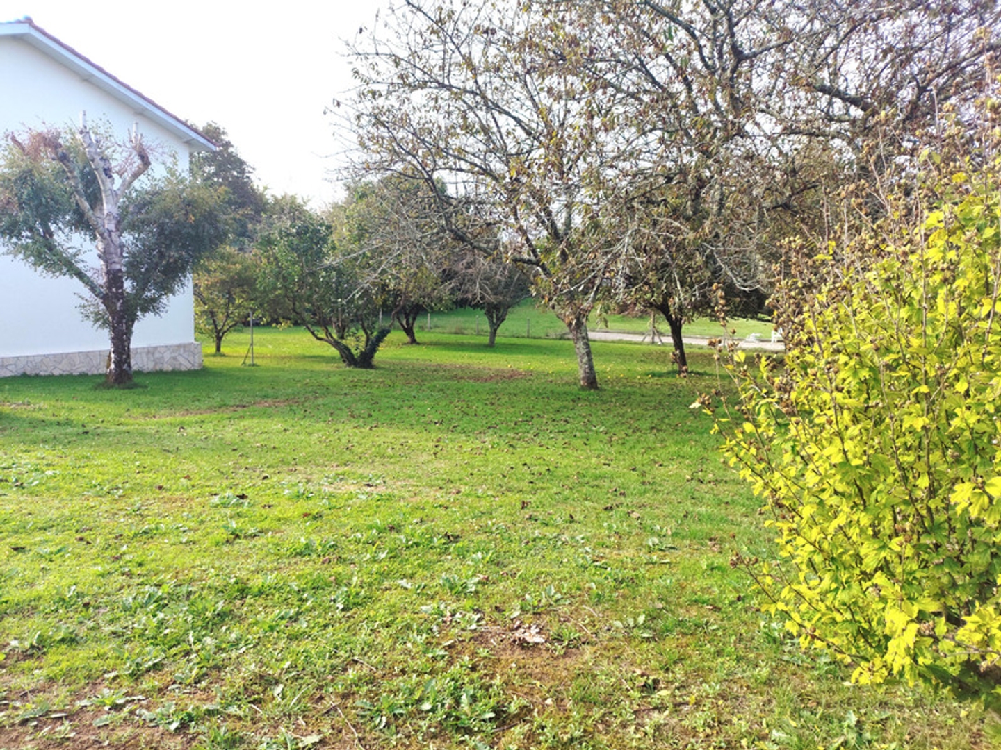 Maison T4 de 96 m² avec garage et grand terrain  Saint-Germain-de-Lusignan