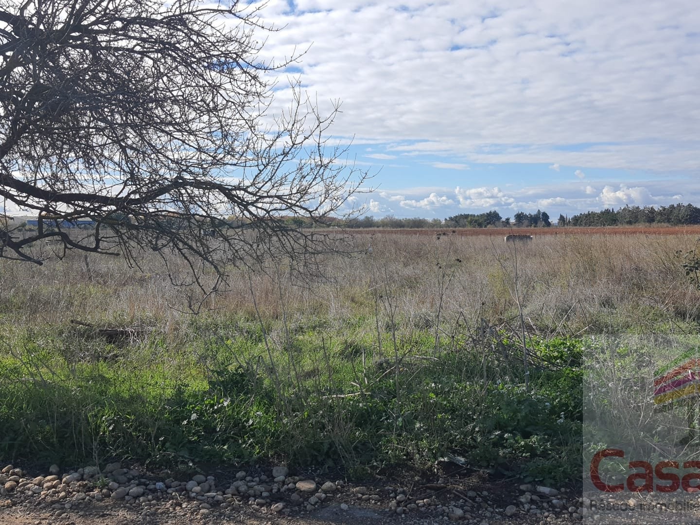Terrain à vendre - 2657m2 - Manduel (30129)