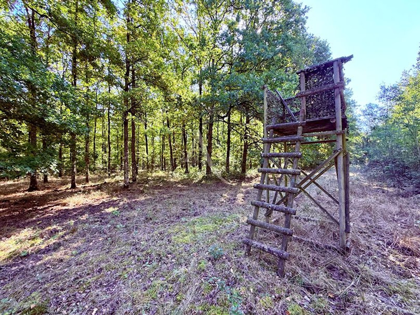 Terrain