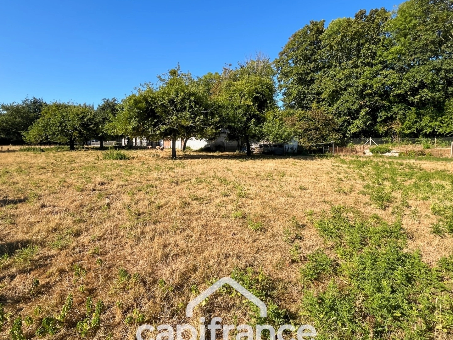 Maison à vendre - 4 pièces - 81m2 - Saint-Victor-L'ab... (76890)