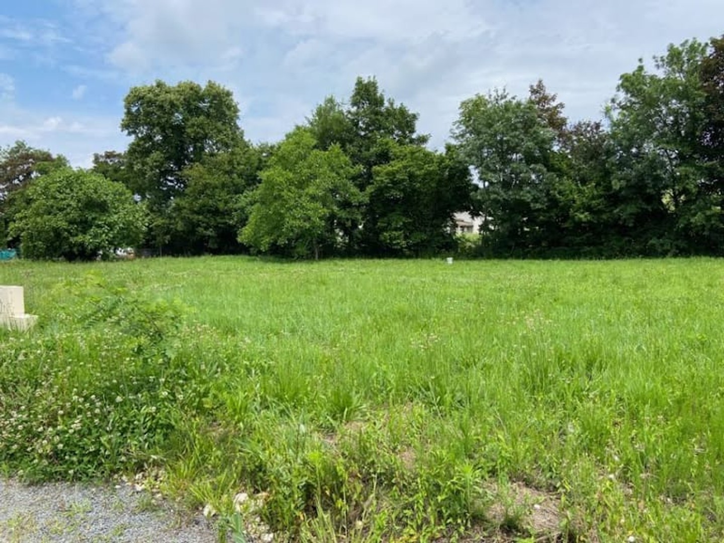 Terrain 800 m²