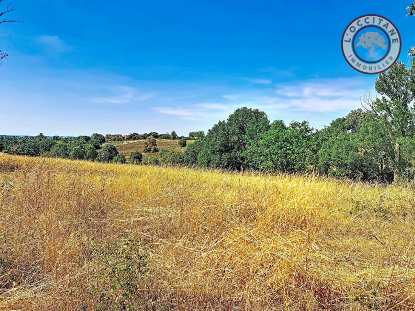 Terrain 2337 m²