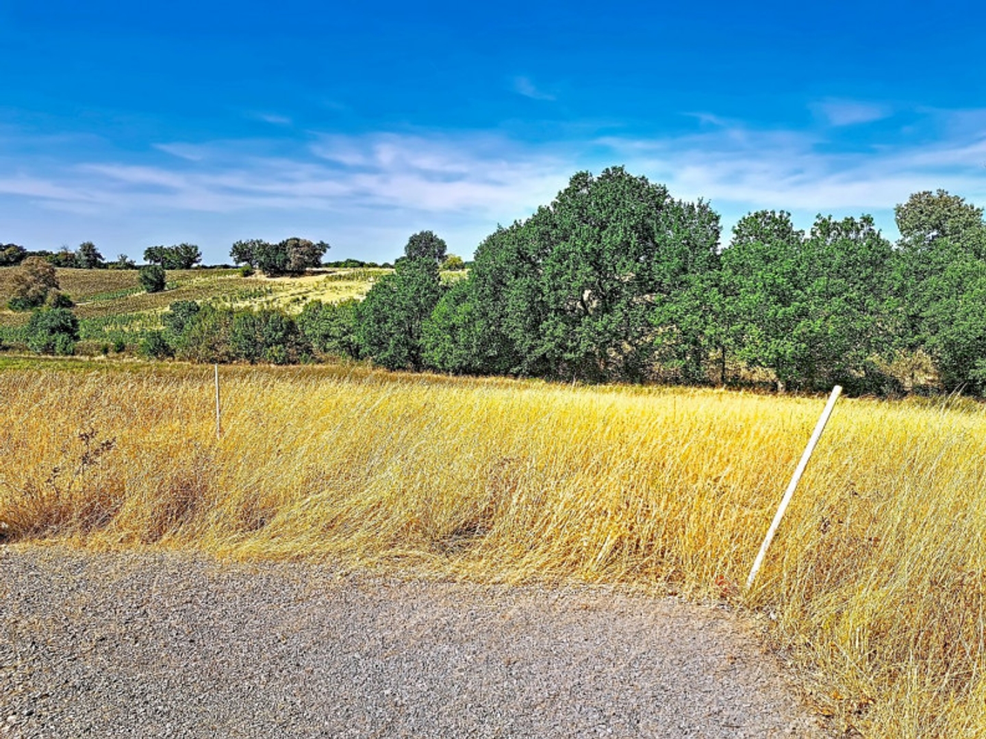 Terrain à vendre - 2337m2 - Gimont (32200)