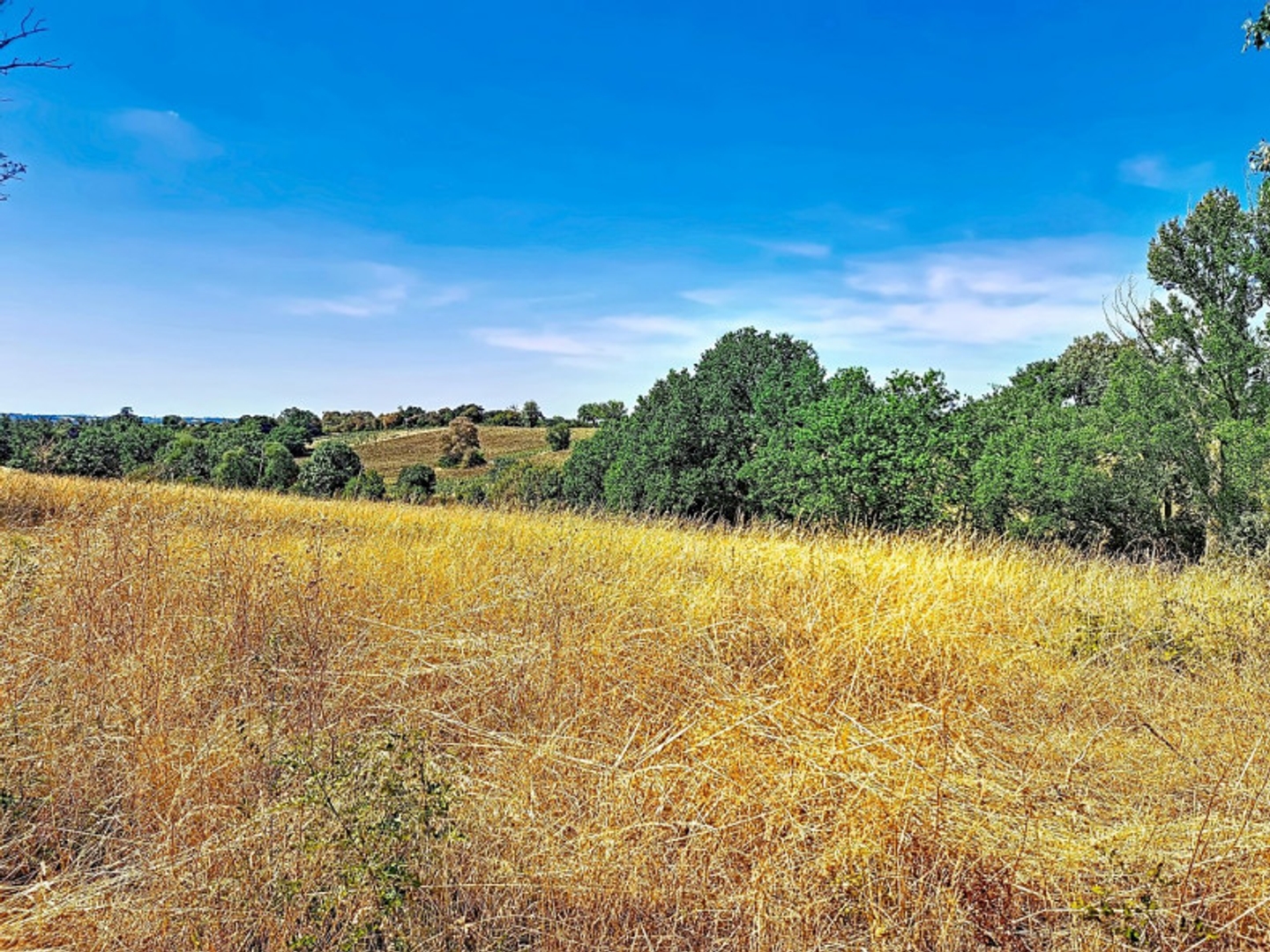 Terrain à vendre - 2337m2 - Gimont (32200)