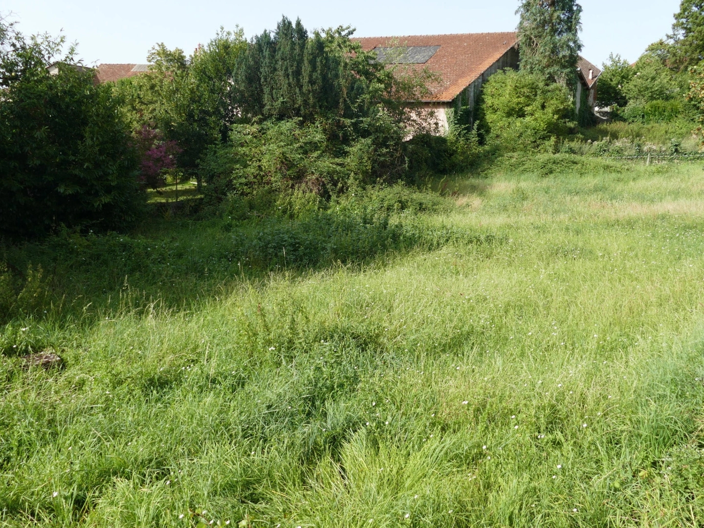 Terrain 1043 m²