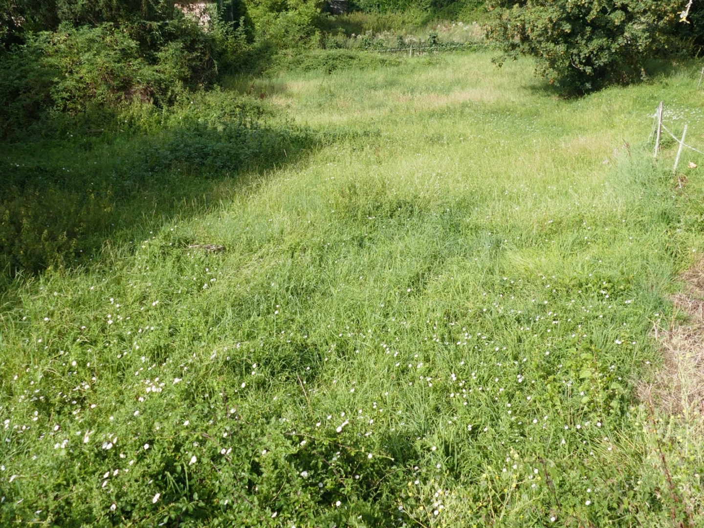 Terrain à vendre - 1043m2 - Maurs (15600)