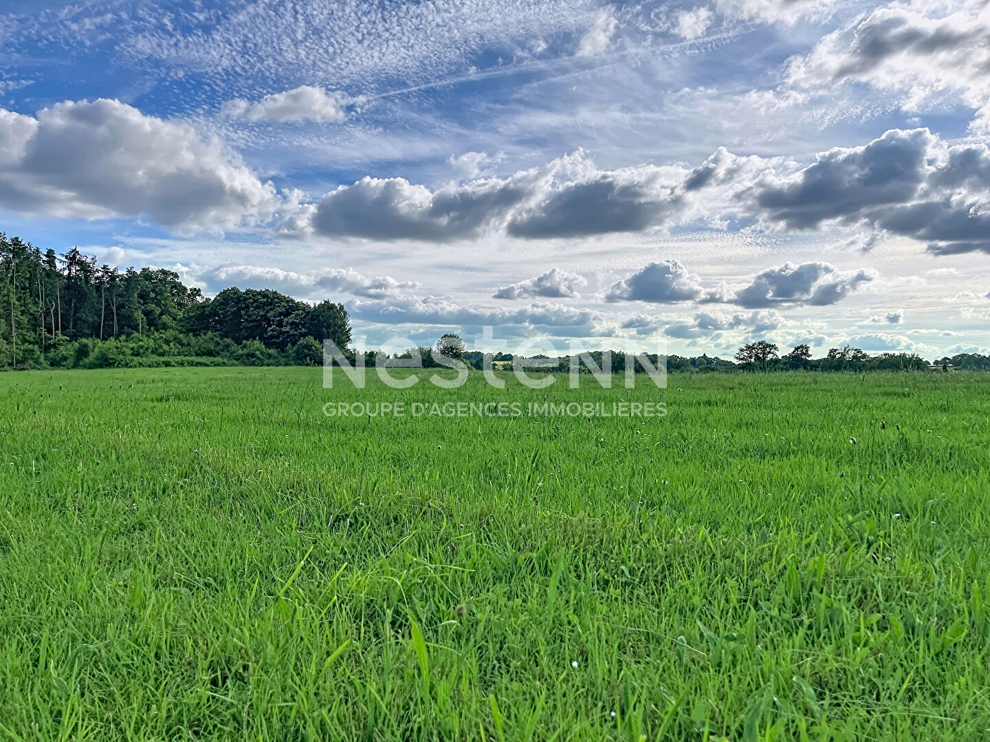 Terrain à vendre - 2148m2 - Sadroc (19270)