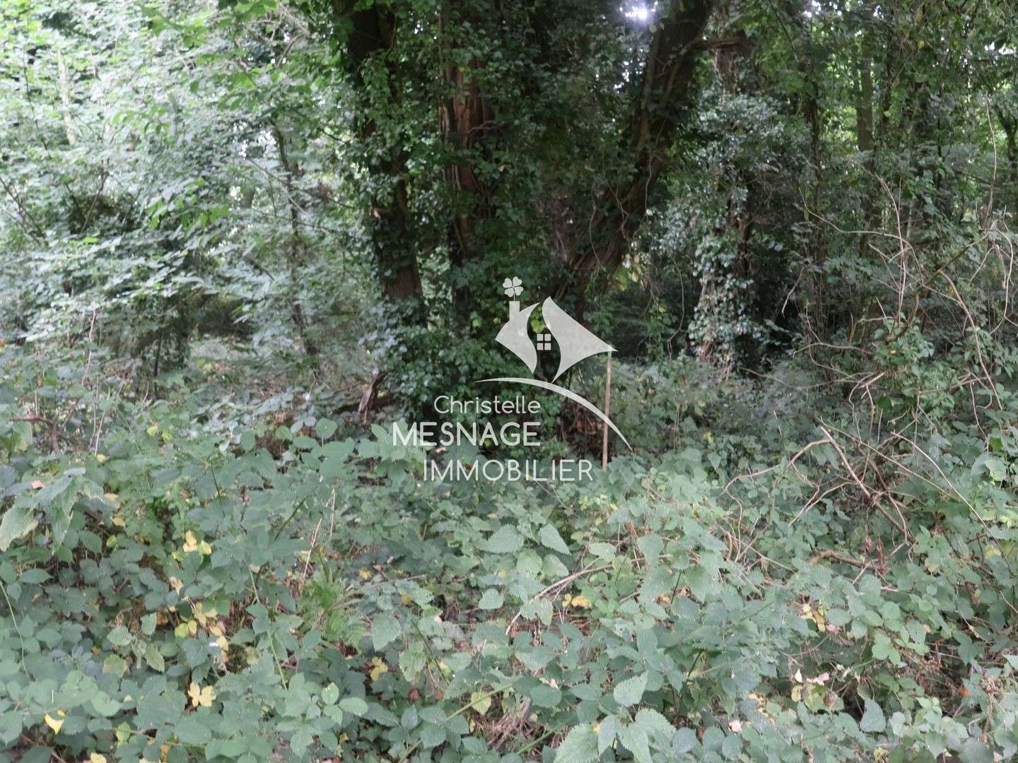 Terrain 2100 m²
