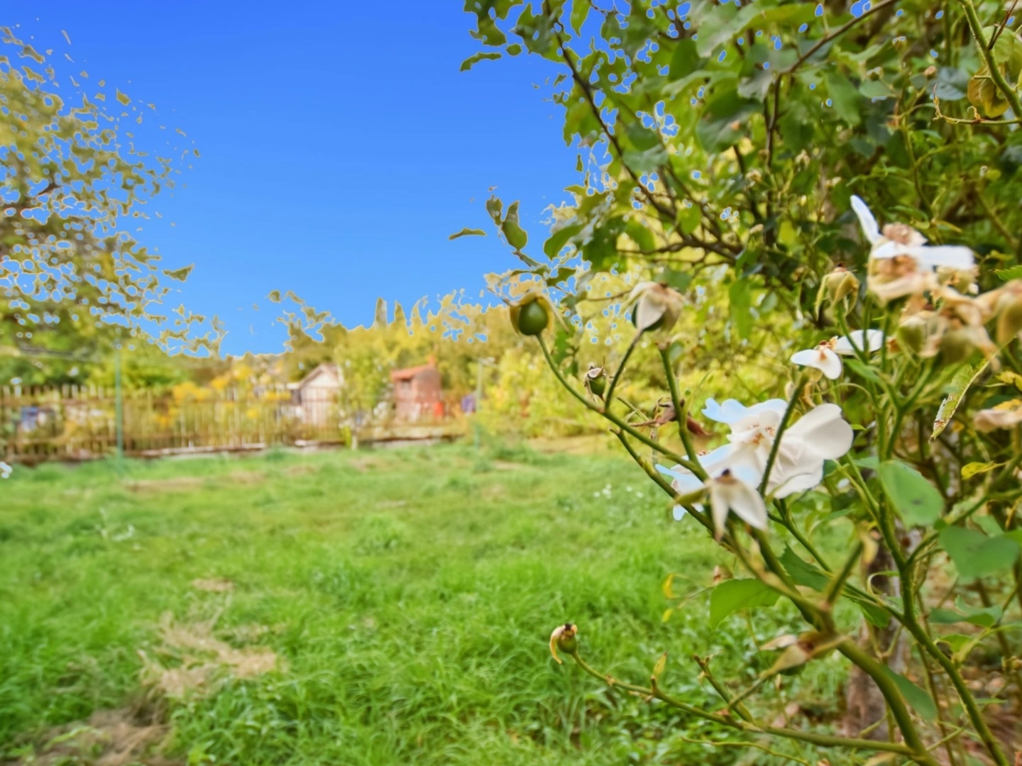 Maison à vendre - 3 pièces - 57m2 - Le Creusot (71200)