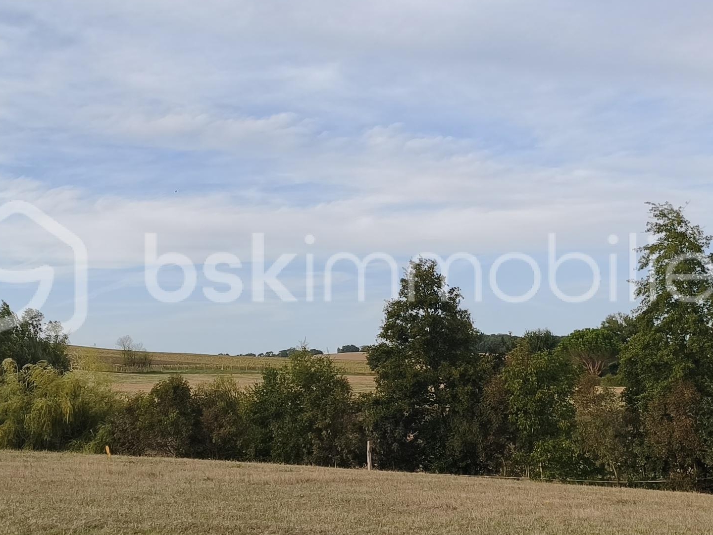 Terrain 1230 m²