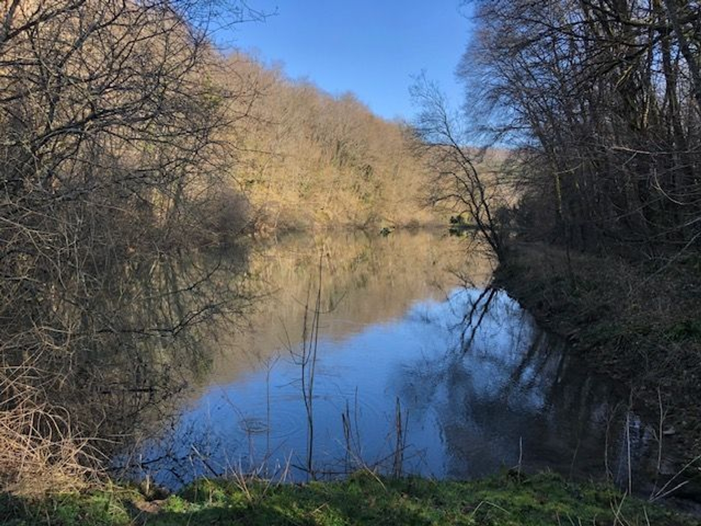RARE PROPRIETE AVEC ETANGS RIVIERE