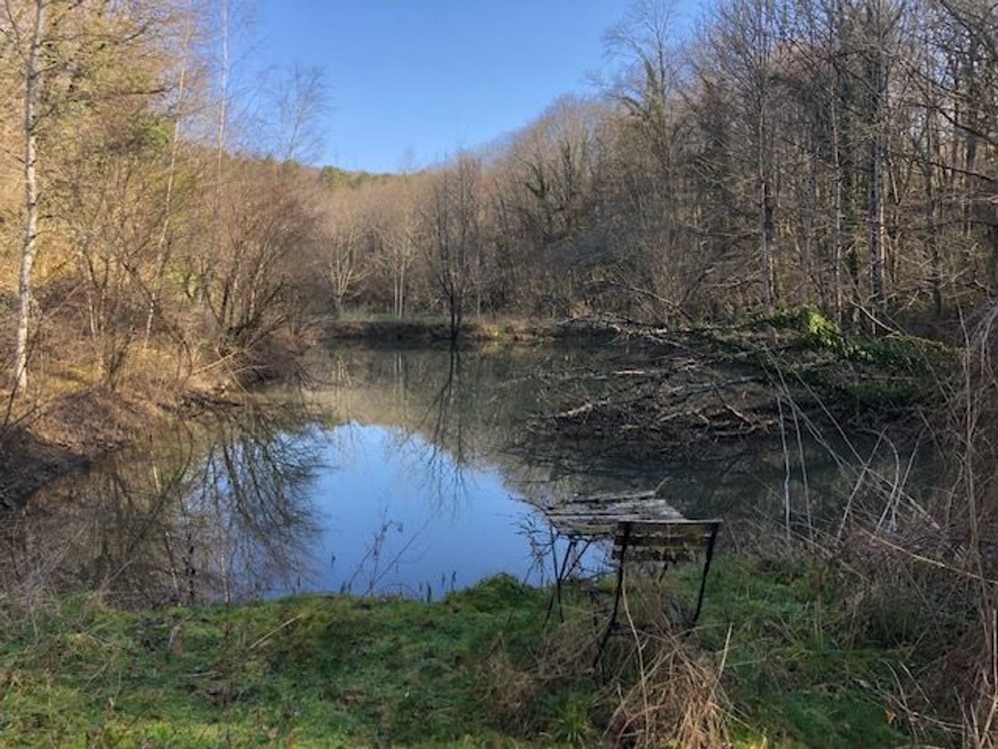 Terrain à vendre - 11580m2 - Recey-Sur-Ource (21290)