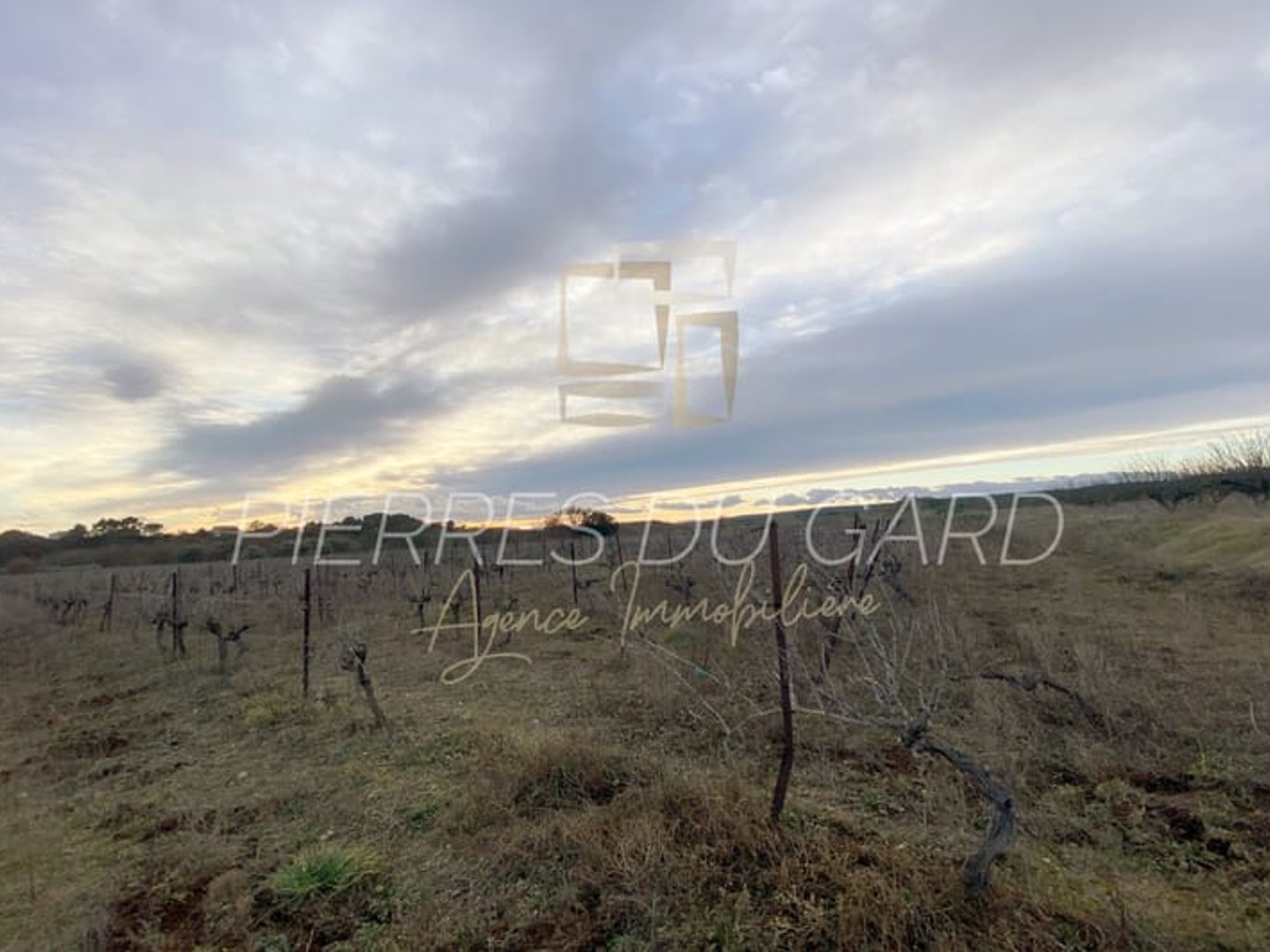 Terrain 20000 m²
