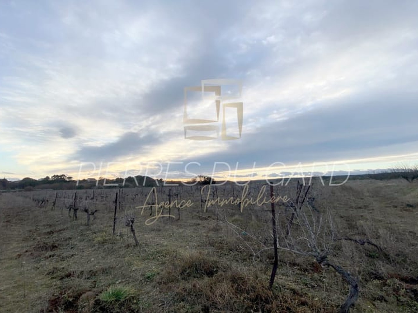 Terrain à vendre - 20000m2 - Vallabrix (30700)