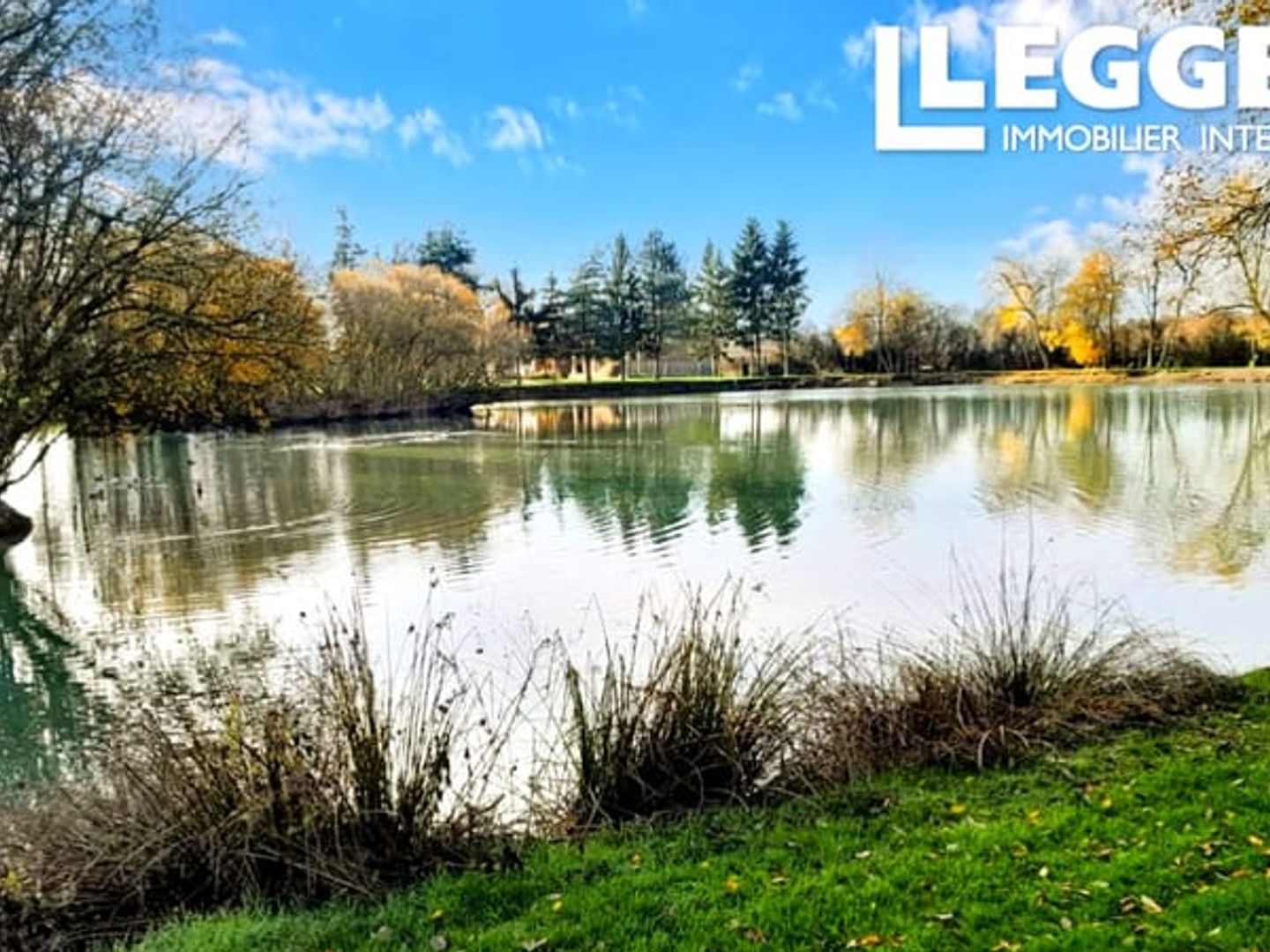 Magnifique domaine de pêche à la carpe de 1 hectare avec maison, gîte et dépendance dans la Mayenne
